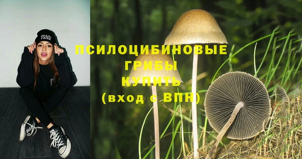 бошки Богородск