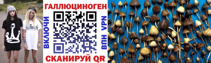 Галлюциногенные грибы мицелий  как найти наркотики  Кондрово 